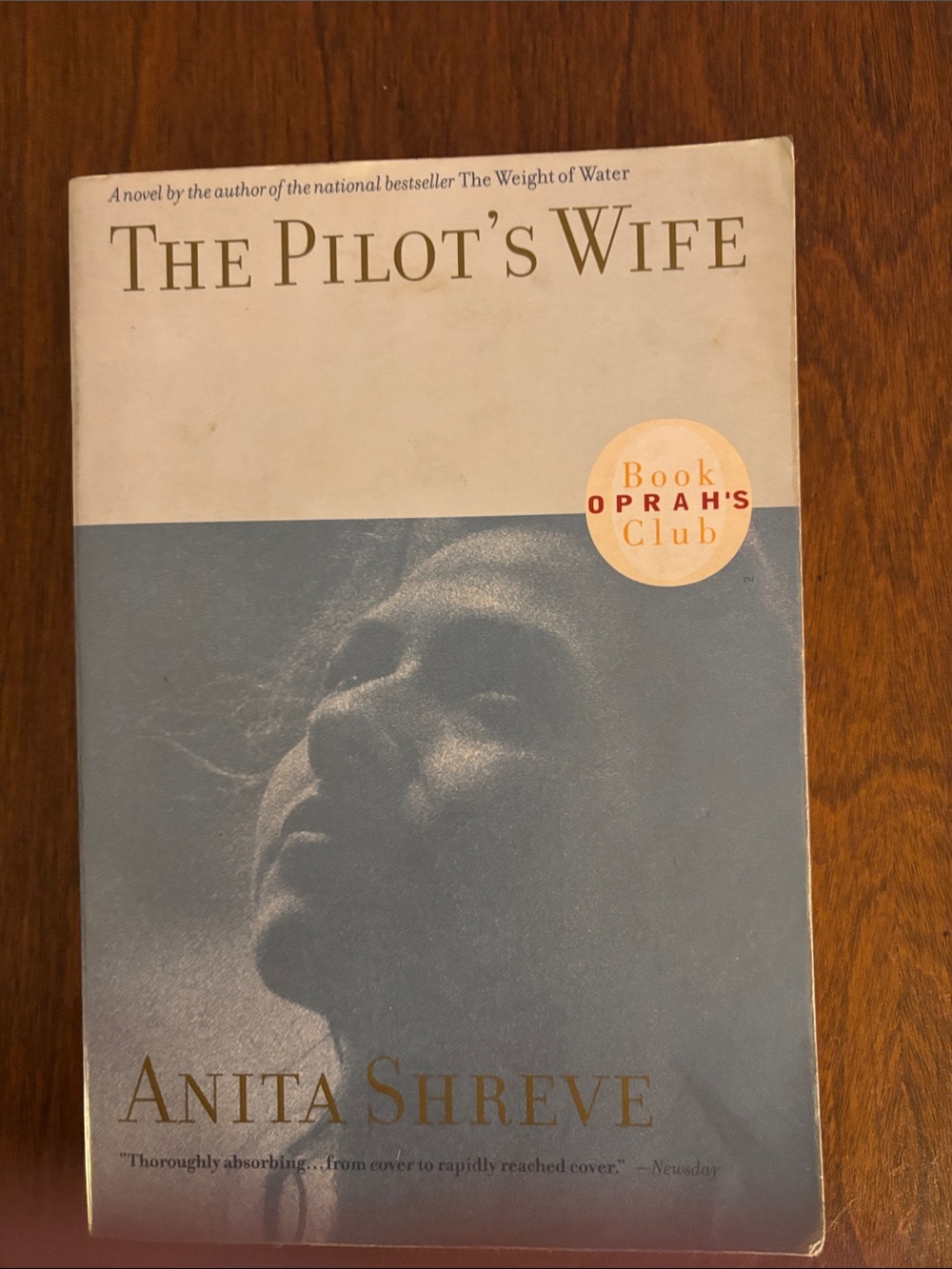 The Pilot's Wife by Anita Shreve - Blue & Cream Paperback